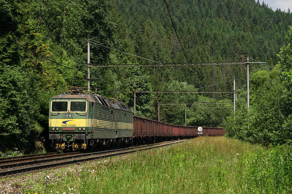 Lokomotiva 131 025-9 + 131 026-7, nákladný vlak, Krásno nad Kysucou, 28.6.2011 10:50 - Trainweb
