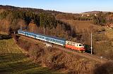 Lokomotiva 242 253-3, R 667 Rožmberk, Srby, 18.12.2023 13:26 - Trainweb
