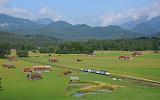 Lokomotiva Beh 4/4 309, ZahnR 3  (Garmisch-Partenkirchen – Zugspitzplatt), Kreuzeck/Alpspitzbahn, 11.8.2013 8:25 - Trainweb